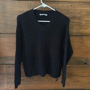 Everlane v-neck sweater